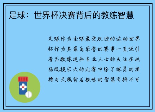 足球：世界杯决赛背后的教练智慧
