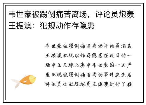 韦世豪被踢倒痛苦离场，评论员炮轰王振澳：犯规动作存隐患